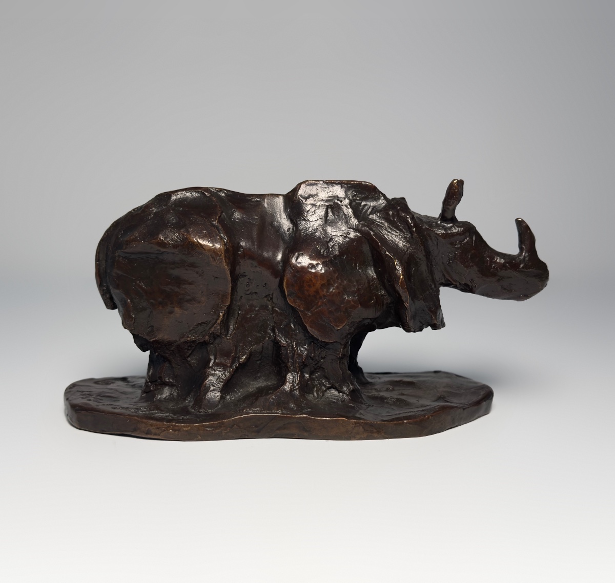 Rhinocéros - Bronze de Guy Le Corroller