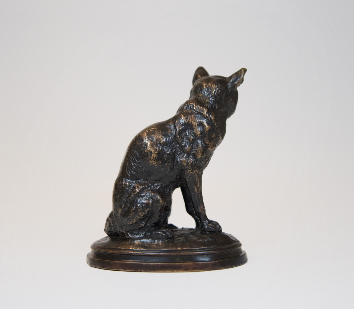 Renard assis- Bronze de Edouard Delabrièrre (1829 - 1912)-photo-4