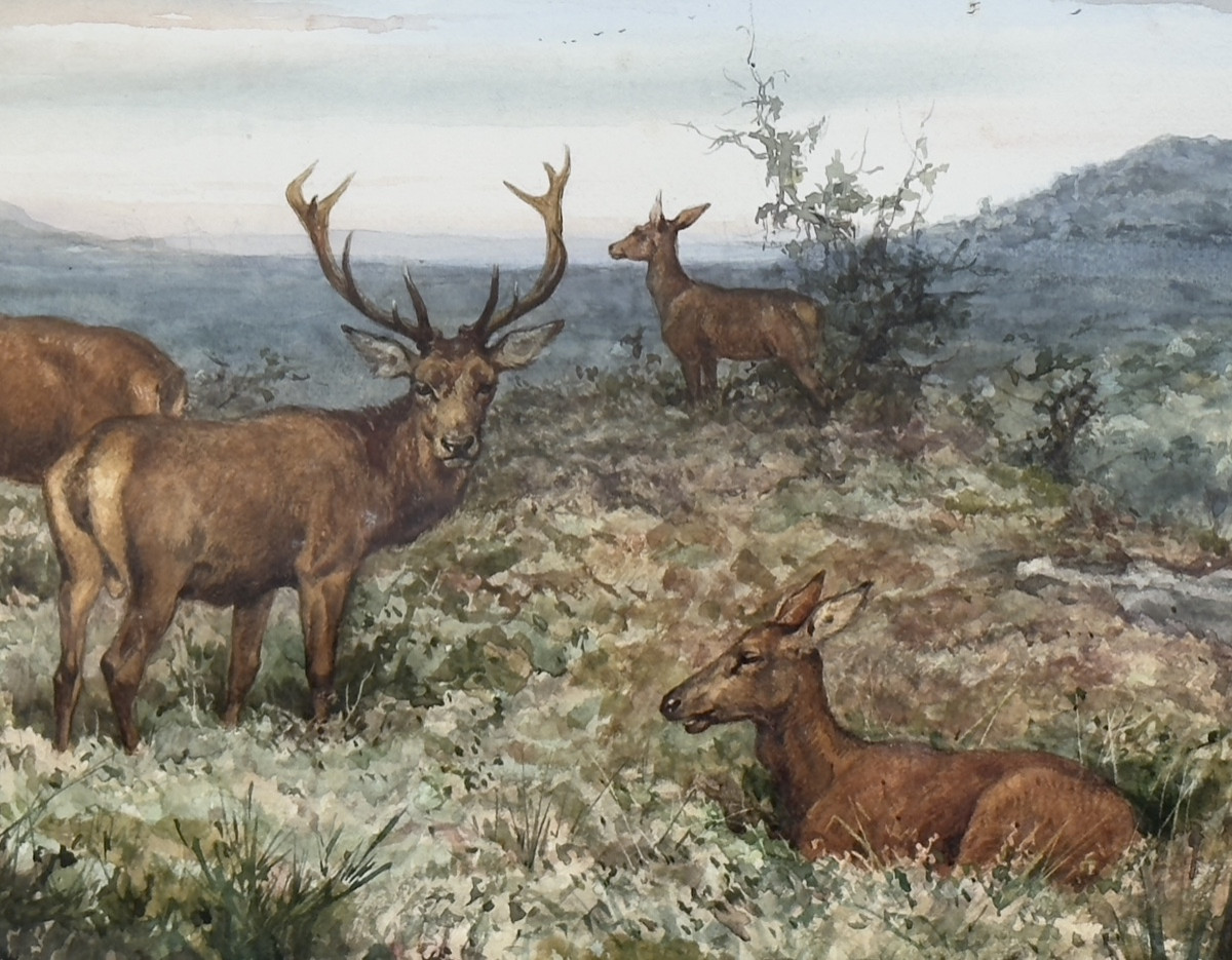 The Imperial Huntsman's Valet In The Woods - Watercolor By Charles-olivier De Penne-photo-3