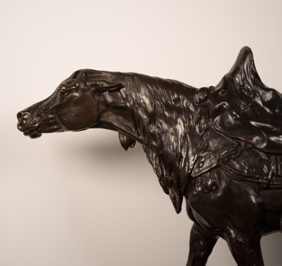 Cheval de Spahi au piquet - Sculpture en bronze de Pierre-Jules Mêne (1810-1879)-photo-4