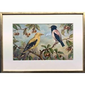 Martin Roselin et Loriot - Aquarelle gouachée de Paul Marcueyz (1877 - 1952)