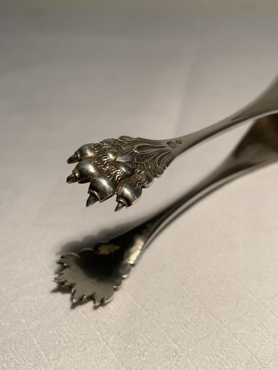Pince à Sucre Argent Massif Minerve Pate de Lion XIX-photo-1