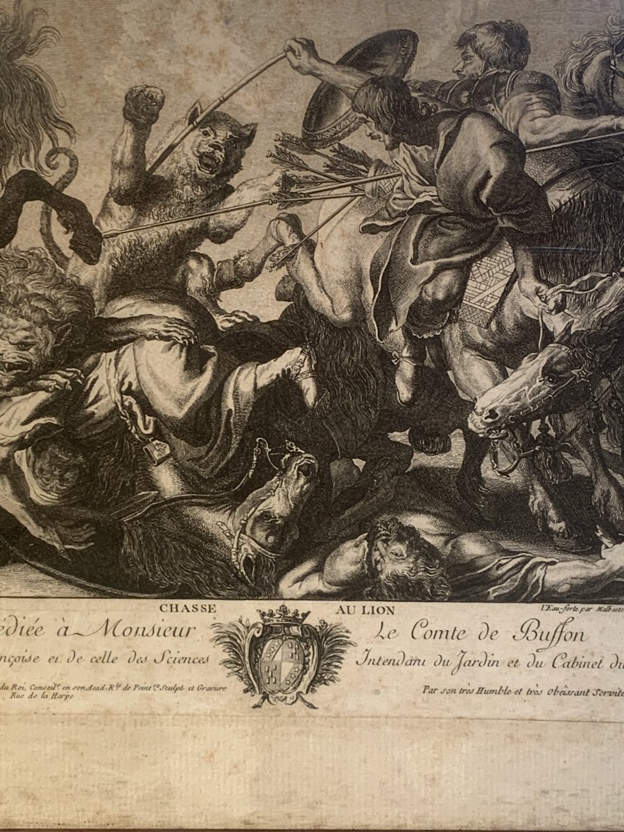 Engraving XVIII: The Lion Hunt, After Rubens-photo-3
