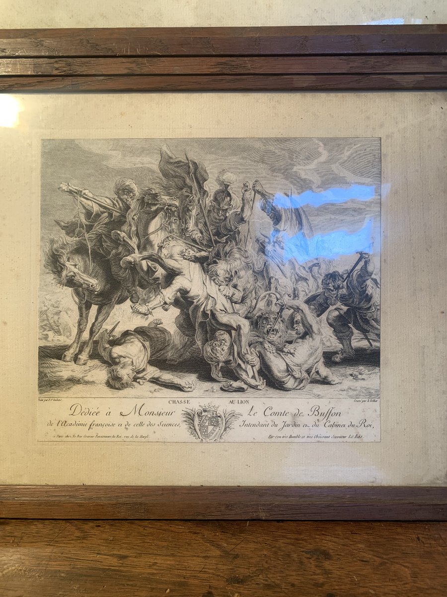 Engraving XVIII: The Lion Hunt, After Rubens-photo-6