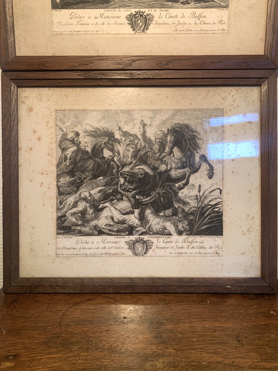 Engraving XVIII: The Lion Hunt, After Rubens-photo-8