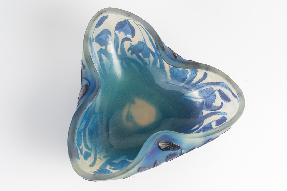 E.galle (1846-1904)-crocus Bleus, Cup. Between 1898-1904-photo-2