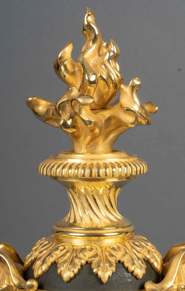 Paire de chenets en bronze doré Louis XVI-photo-3