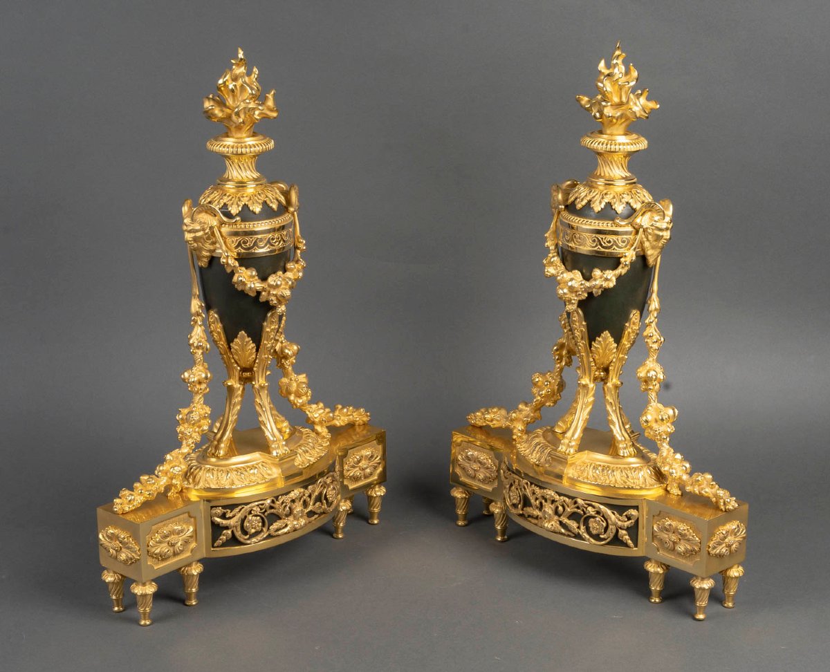 Paire de chenets en bronze doré Louis XVI-photo-1