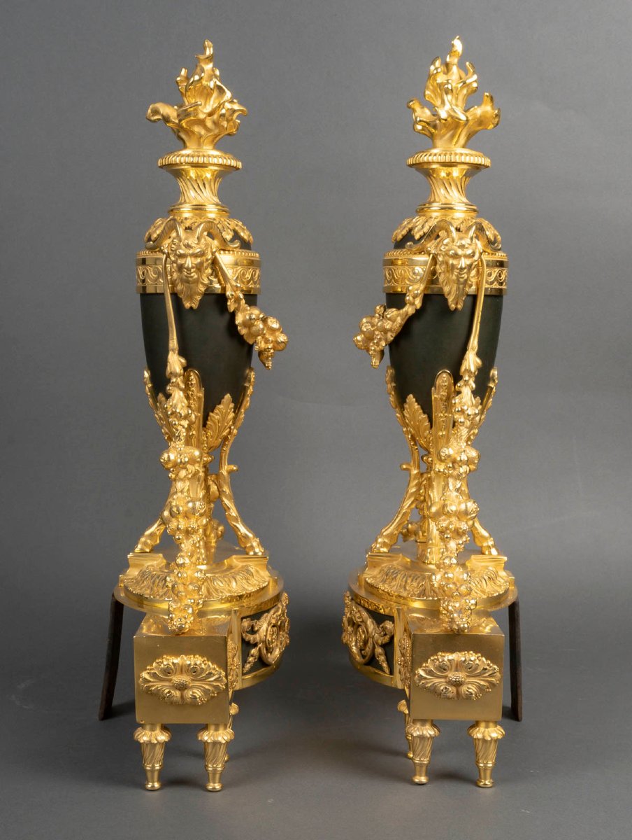 Paire de chenets en bronze doré Louis XVI-photo-3