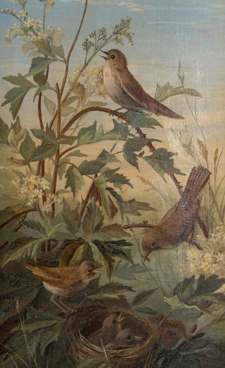 Bird Screen - Early 20th Century-photo-6