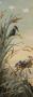 1774332-6a2686b1cbb76.jpg