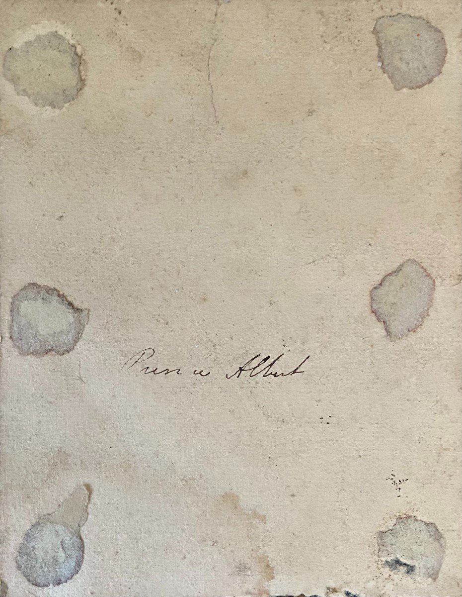 Portrait Du Prince Albert De Saxe-cobourg-gotha, Dessin Gouaché Du XIXème Siècle-photo-3