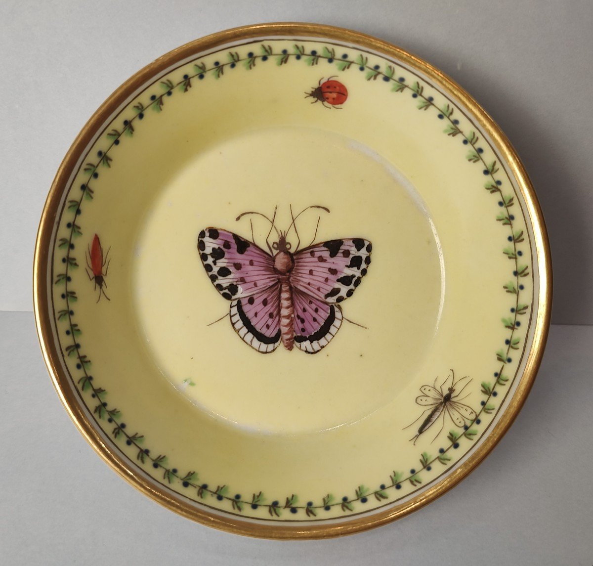 Niderviller - Cup And Its Saucer With A Yellow Background With Polychrome Decor Of Butterflies - Eighteenth Century-photo-3