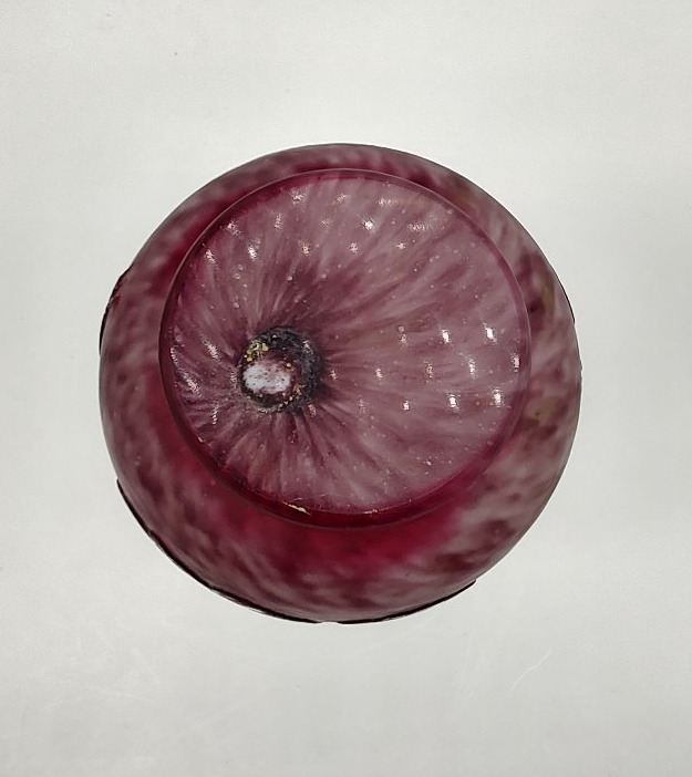 André Delatte - Nancy - Circa 1920 - Vase à décor de fleurs et de feuillages-photo-6