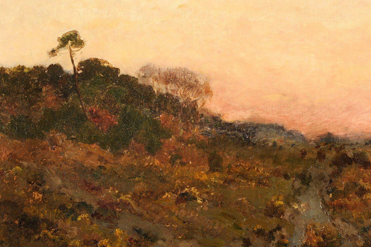 Louis Cabié (1853-1939) Sunset In The Landes-photo-3