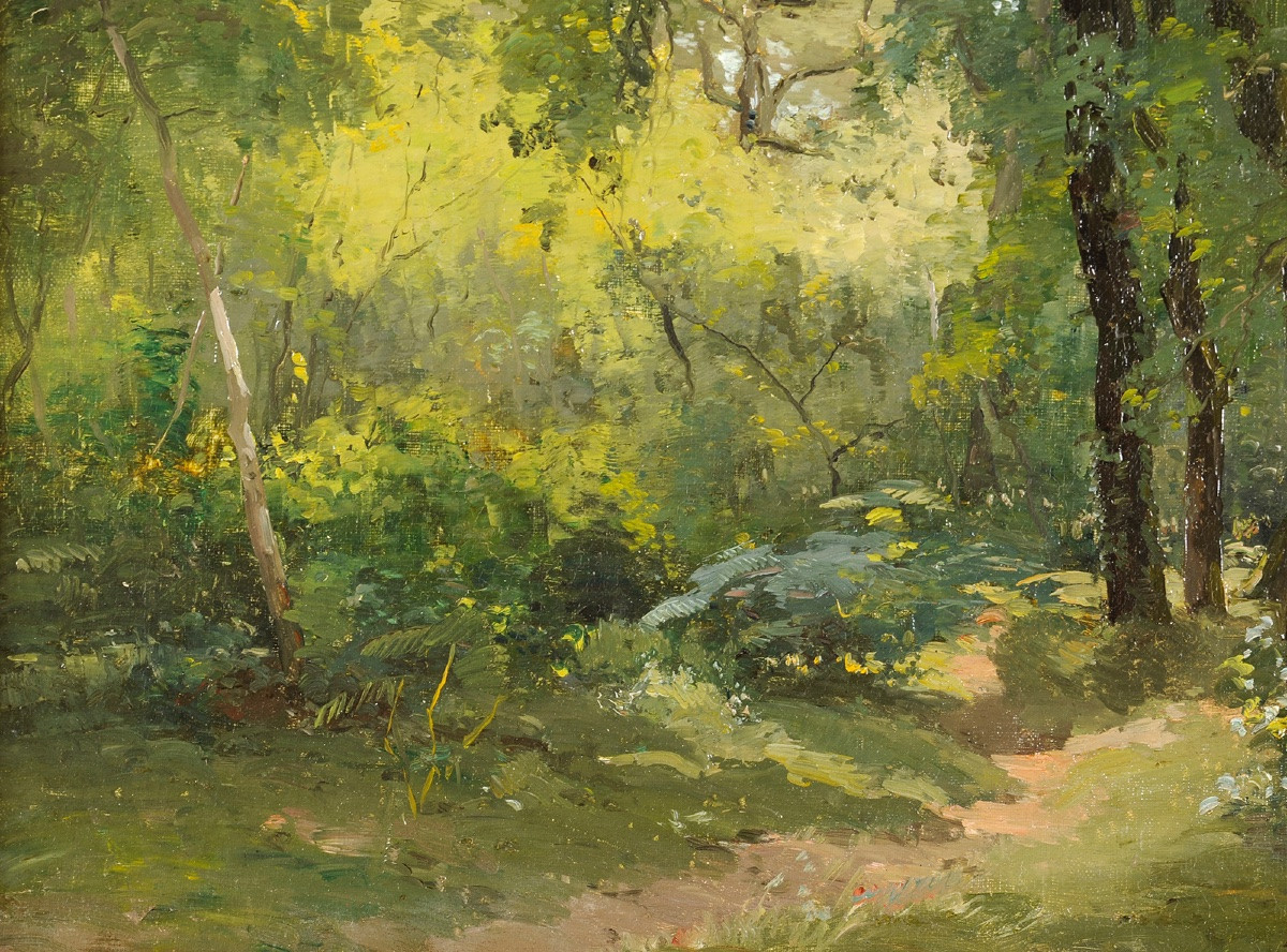 Louis Cabié (1853-1939) Undergrowth Forest-photo-3