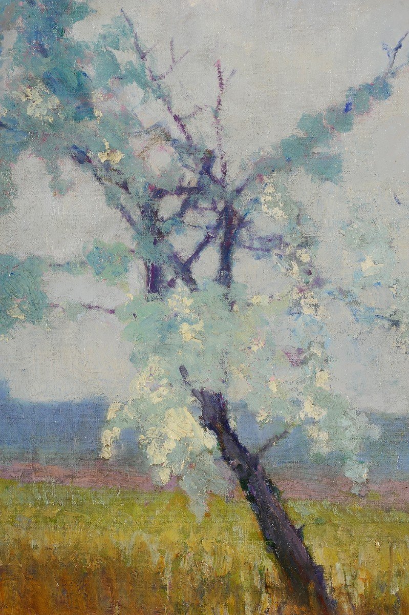 Léon Broquet (1869-1935) Prunus en fleurs Normandie-photo-3
