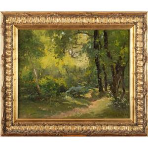 Louis Cabié (1853-1939) Undergrowth Forest