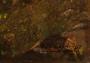 1815037-alb-6a96eb312c7a3.jpg