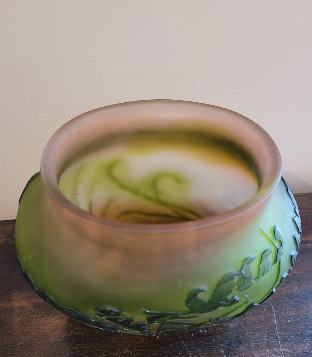 Emile Galle Vase With Ferns-photo-3