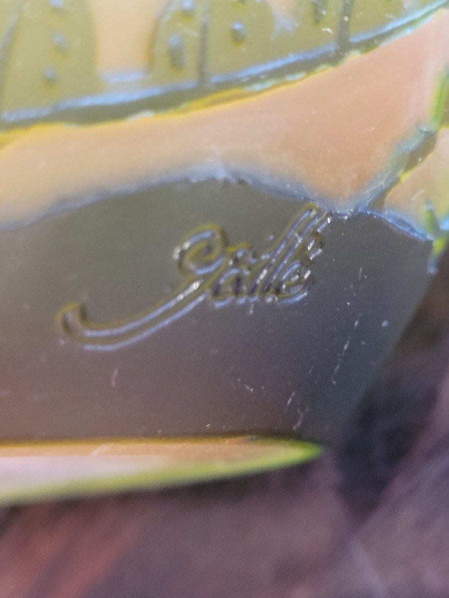 Emile Galle Vase With Ferns-photo-1