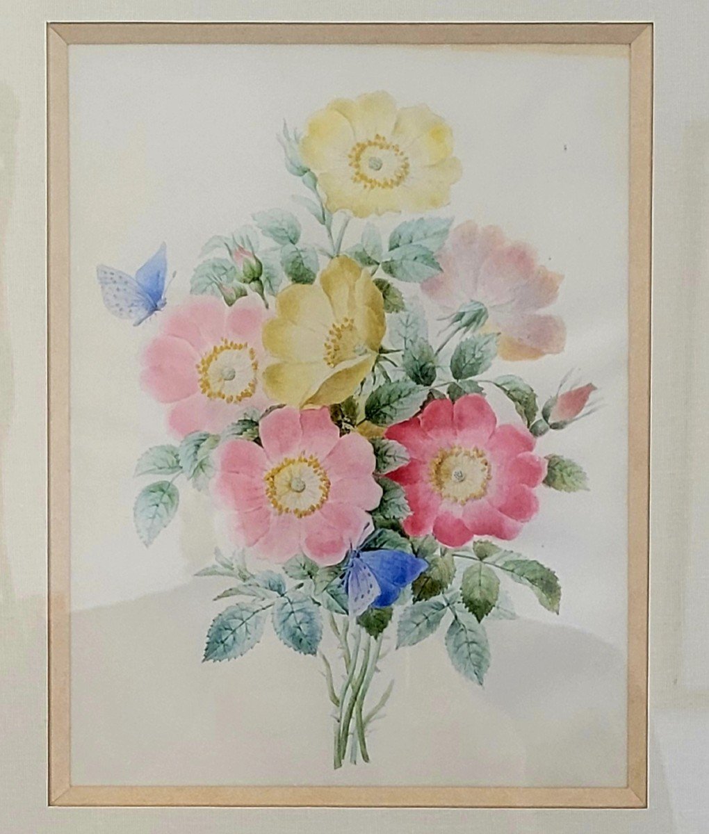 Gouache aquarelle entourage de Pierre Joseph REDOUTÉ -photo-2