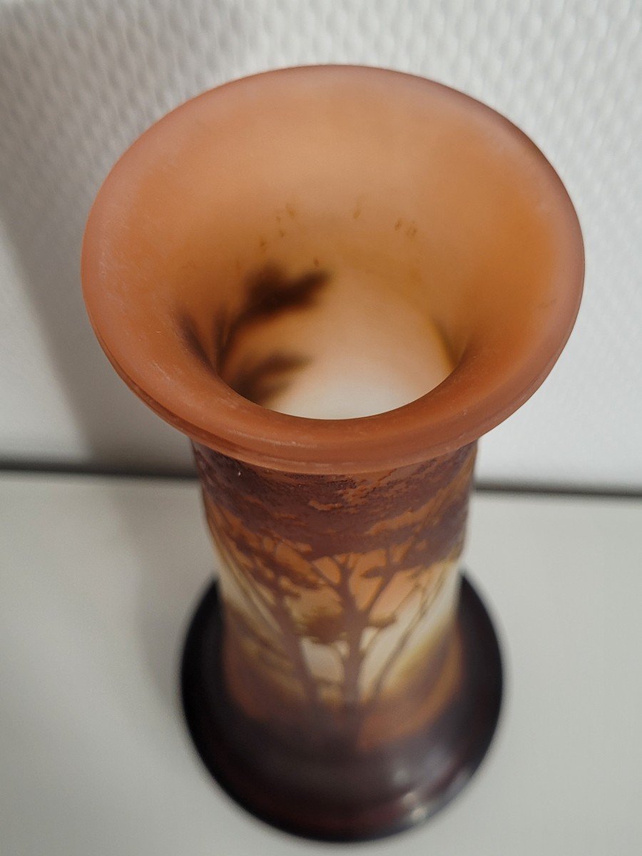 Vase Emile GALLE à décor paysage lacustre -photo-4