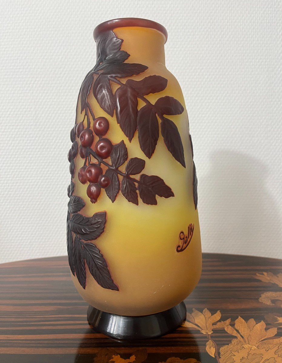 Emile Gallé -photo-3