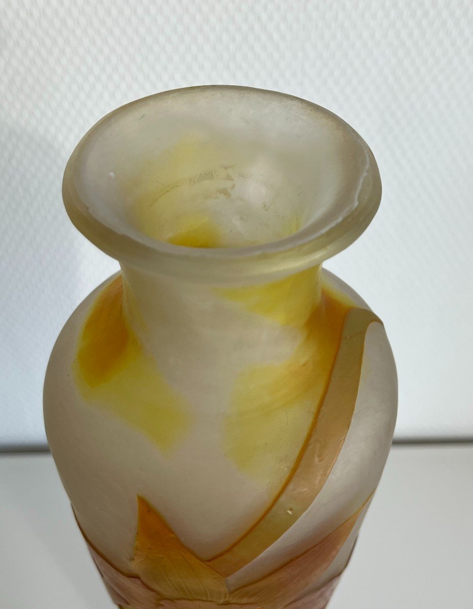 Vase Emile Gallé-photo-4