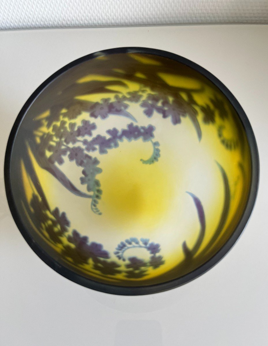 Lampe Emile Gallé -photo-5