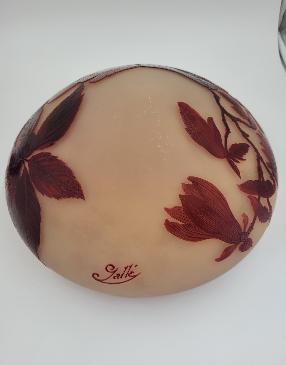 Lampe Emile Gallé "magnolias"-photo-2