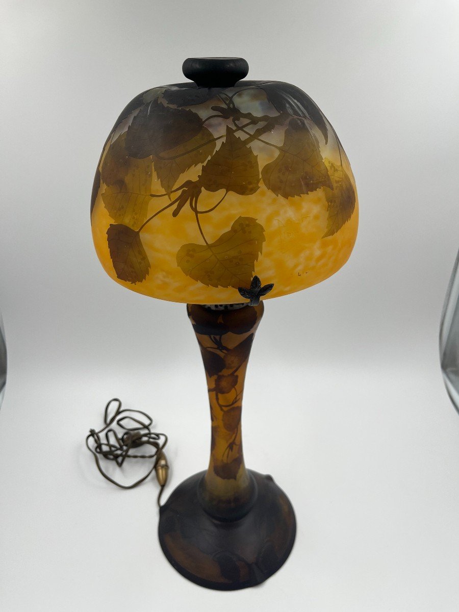 Daum Nancy Lamp -photo-4