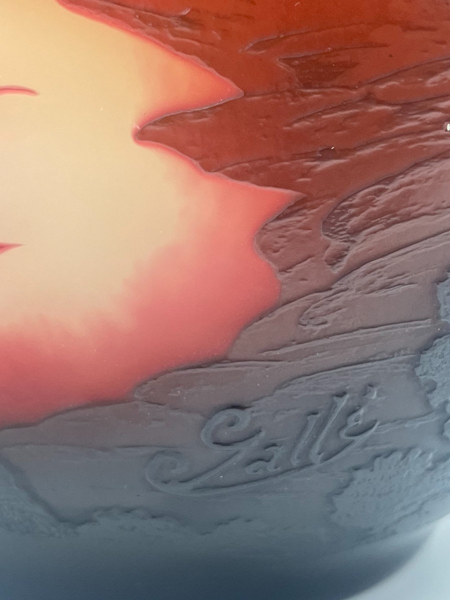 Emile Gallé Vase “rio Bay”-photo-4