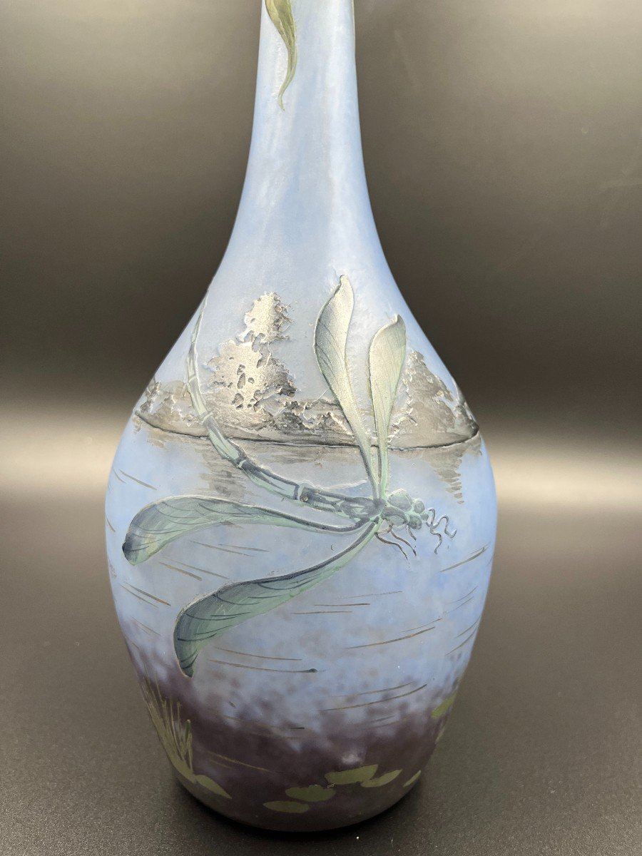 Vase Muller Frères Lunéville Aux Libellules -photo-4