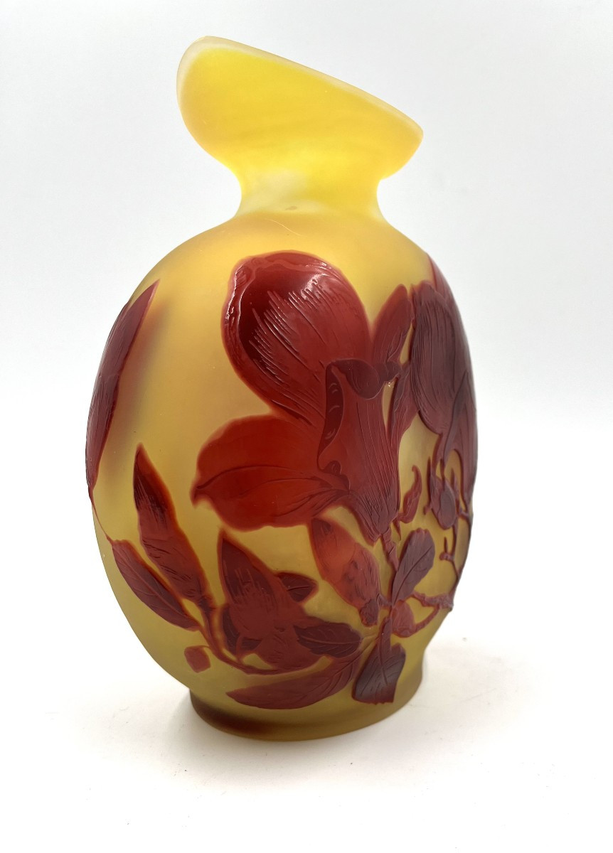 Vase Emille Gallé " Magnolias "-photo-1