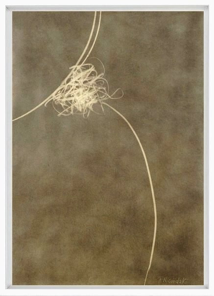 10 Paintings By Robert Louis Nicoidski-photo-8