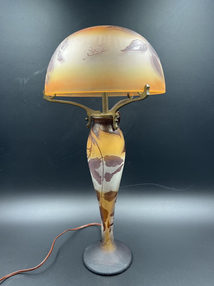 Lampe Emile Gallé décor de glycines art nouveau -photo-2