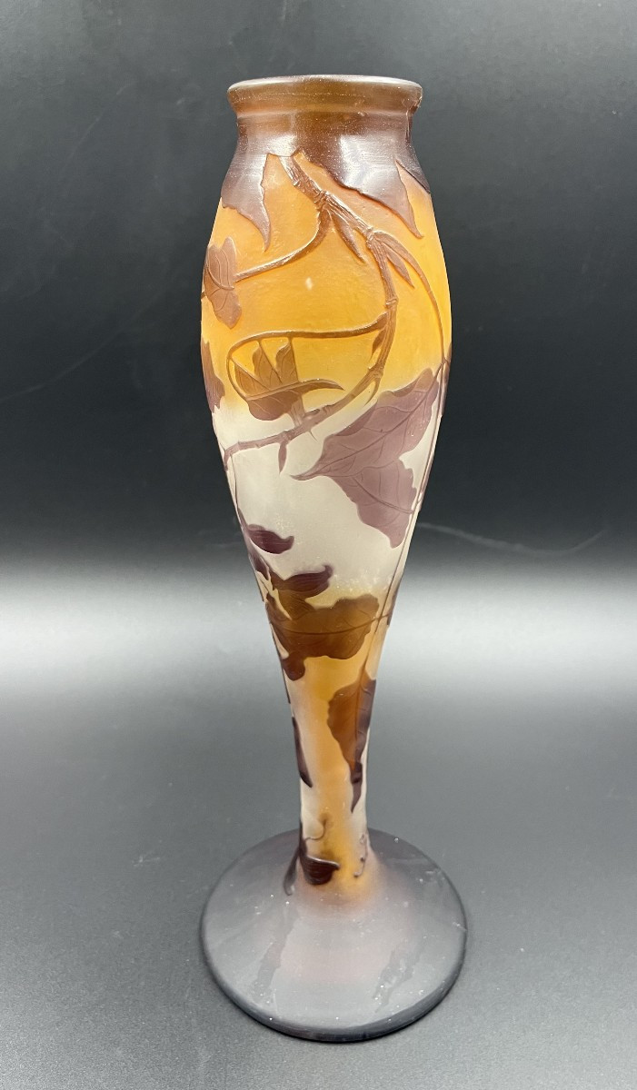 Lampe Emile Gallé décor de glycines art nouveau -photo-4