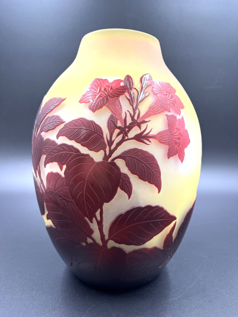 Vase Émile Gallé "Bignones rouge "-photo-3