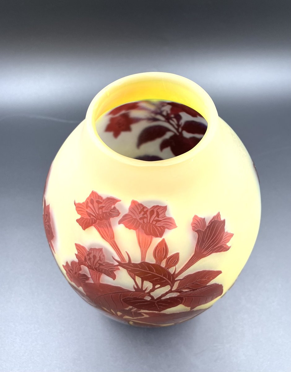 Vase Émile Gallé "Bignones rouge "-photo-1