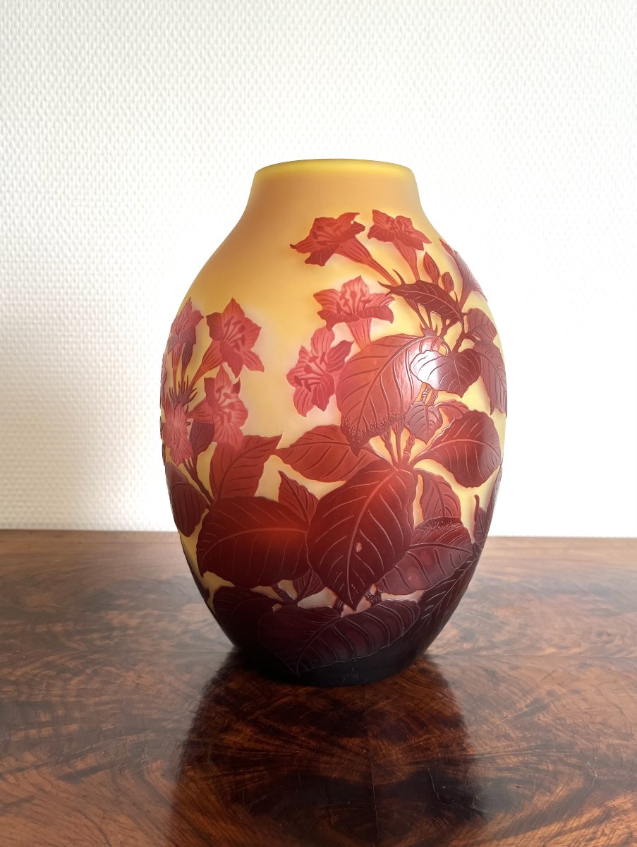 Vase Émile Gallé "Bignones rouge "-photo-3