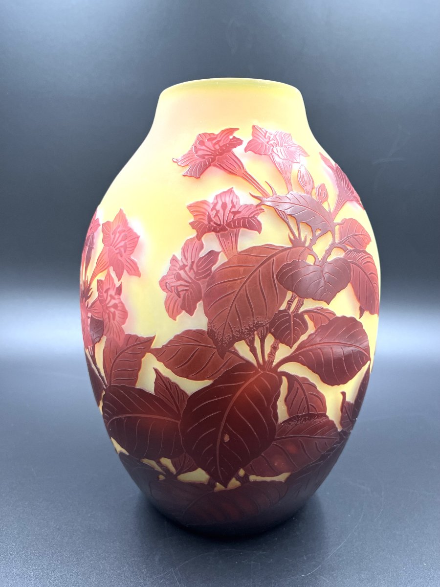 Vase Émile Gallé "Bignones rouge "