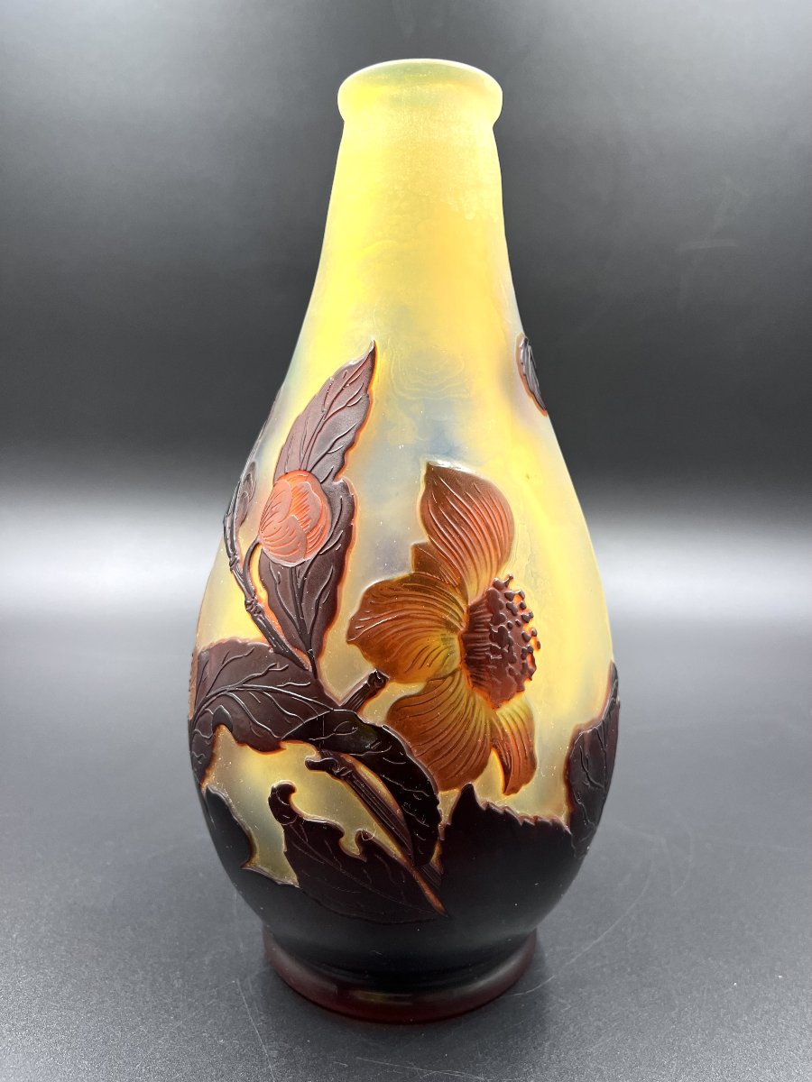 émile Gallé Multilayered Glass Vase With Rosehip Design-photo-3