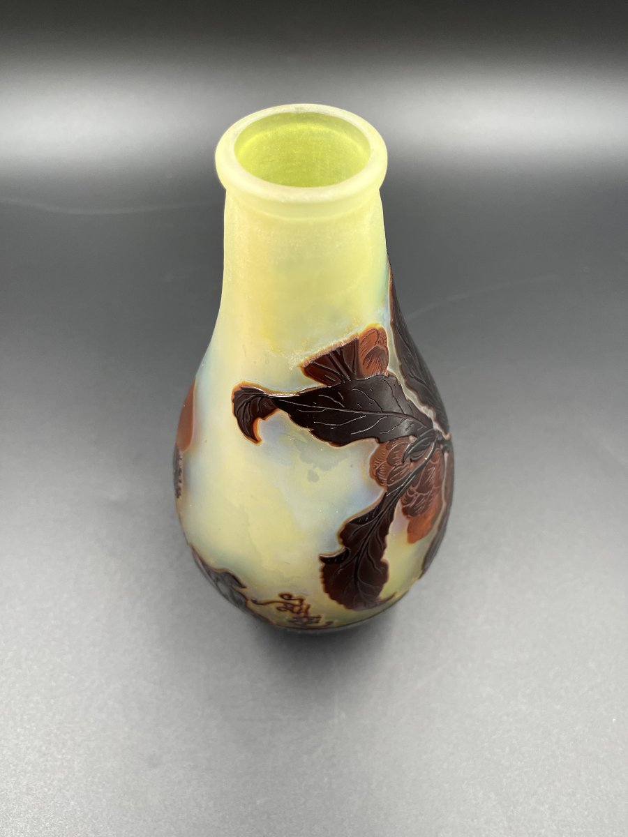 émile Gallé Multilayered Glass Vase With Rosehip Design-photo-1