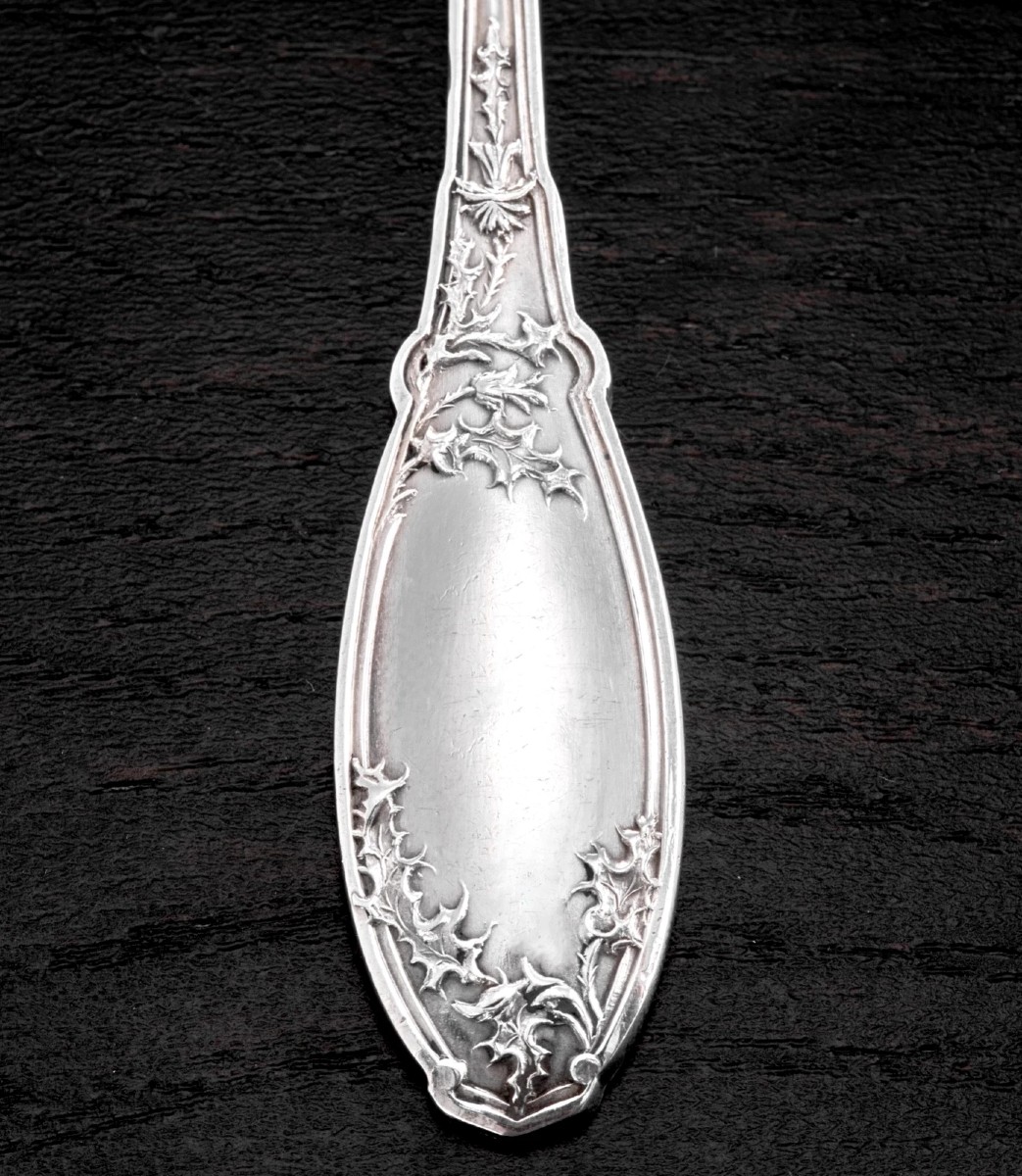 Deflon : Art Nouveau Sterling Silver Spoon Set Thistles Pattern,  Box-photo-3