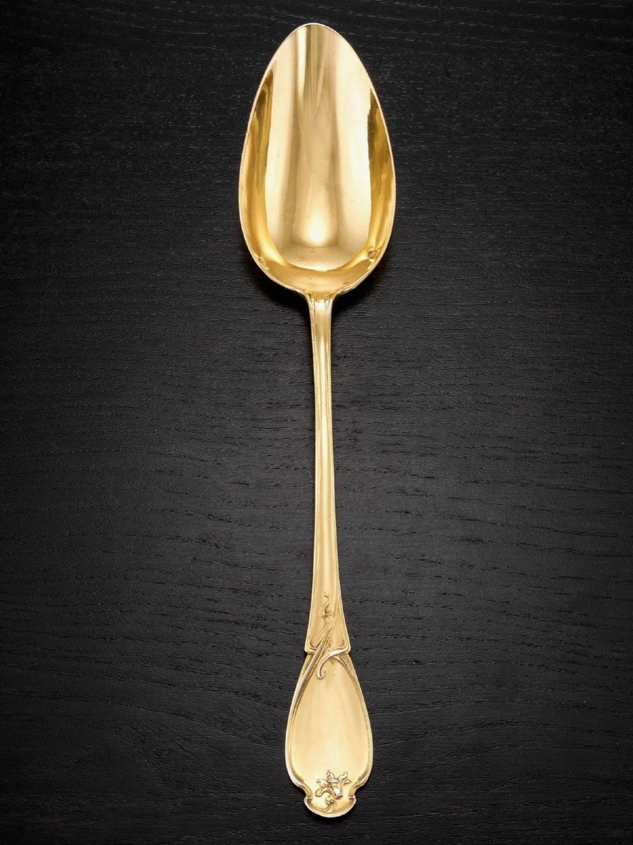 Charles Tirbour: Rare Art Nouveau Vermeil Sterling Silver Stewing Spoon, Cyclamen Pattern-photo-4