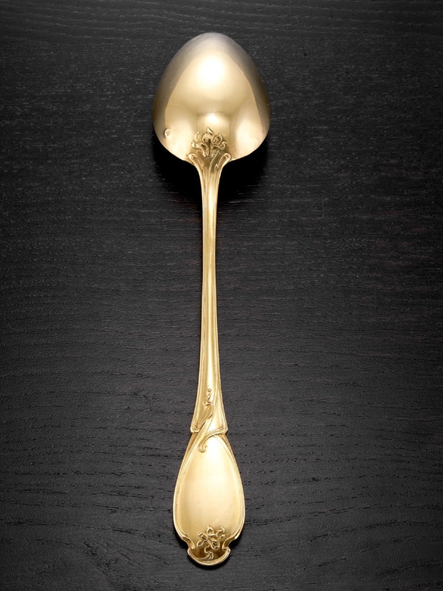 Charles Tirbour: Rare Art Nouveau Vermeil Sterling Silver Stewing Spoon, Cyclamen Pattern-photo-1