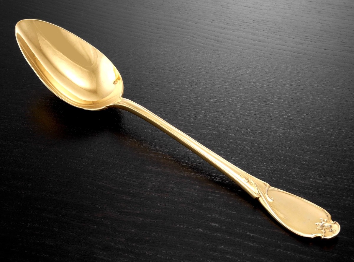 Charles Tirbour: Rare Art Nouveau Vermeil Sterling Silver Stewing Spoon, Cyclamen Pattern