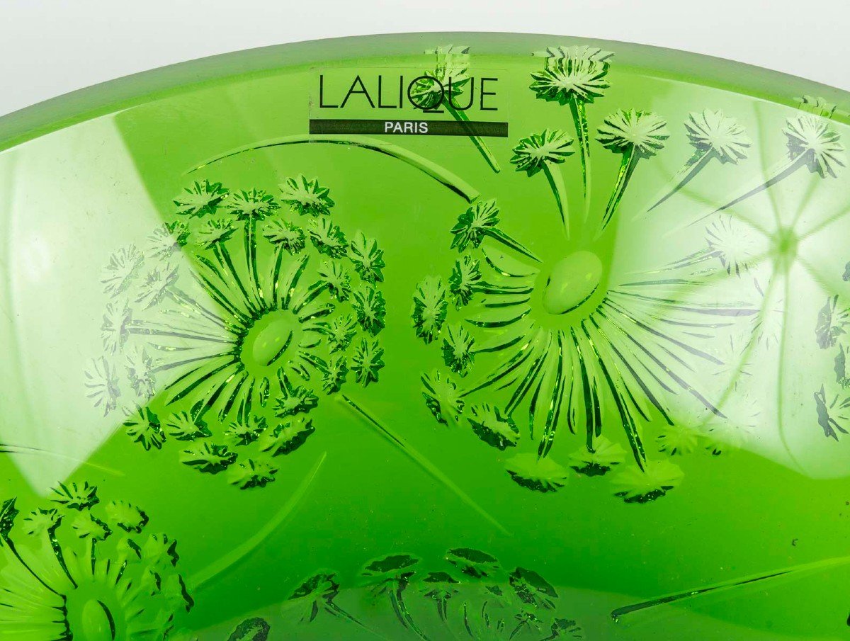 Maison Lalique France Coupe Verte au Décor de Fleurs de Pissenlits-photo-5