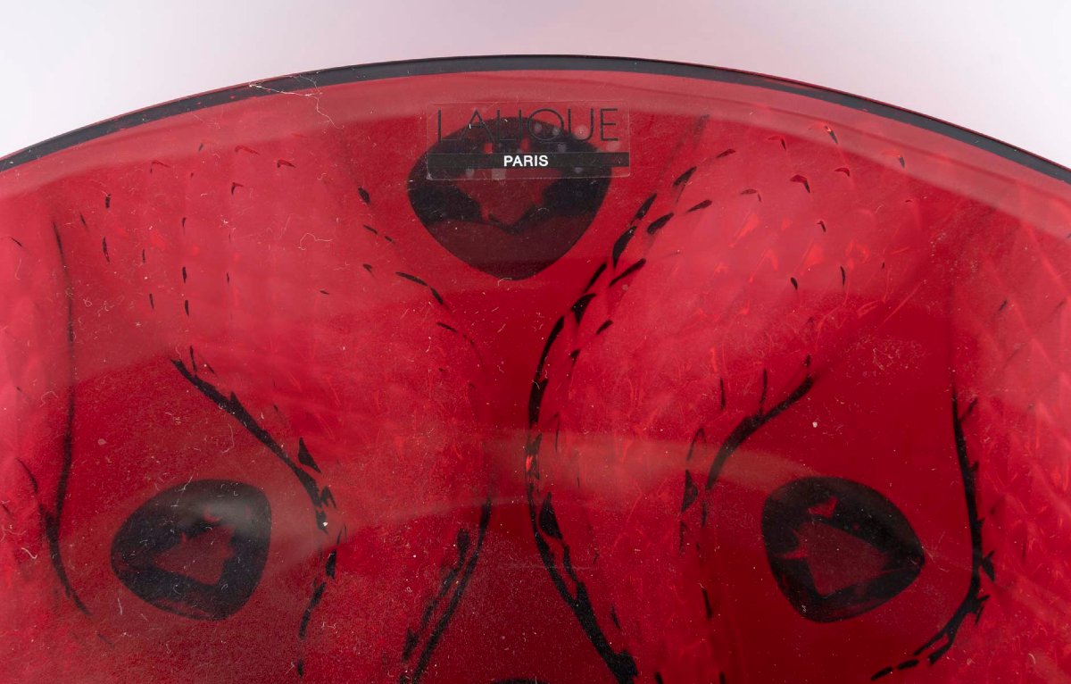 Maison Lalique France, coupe modèle Serpentine dans sa boîte d'origine-photo-2